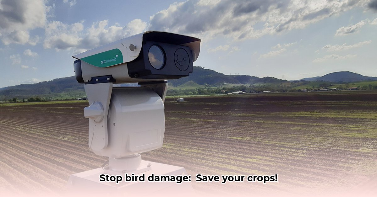 tractor-supply-bird-deterrent